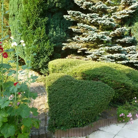 La Rose Tremiere 3*