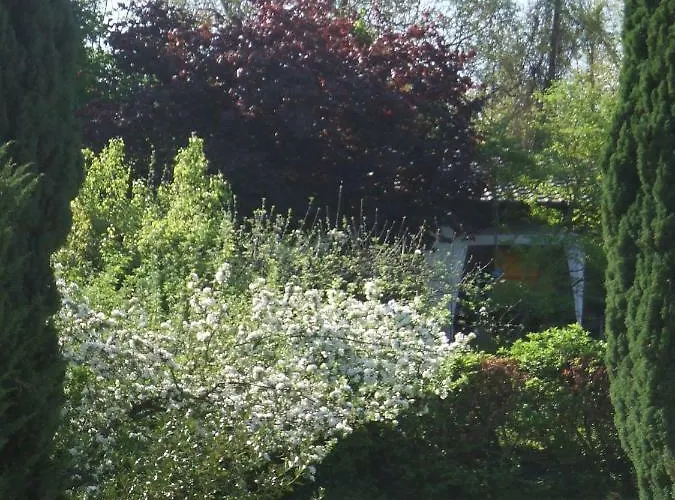 Pensjonat La Rose Tremiere