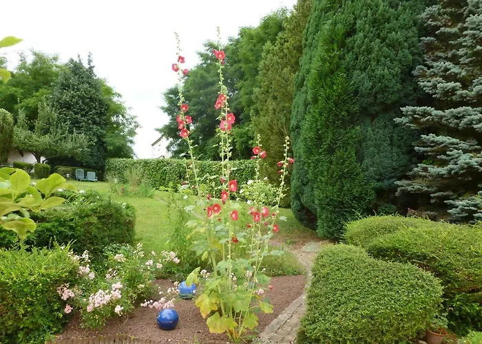 La Rose Tremiere Gasthuis 3*