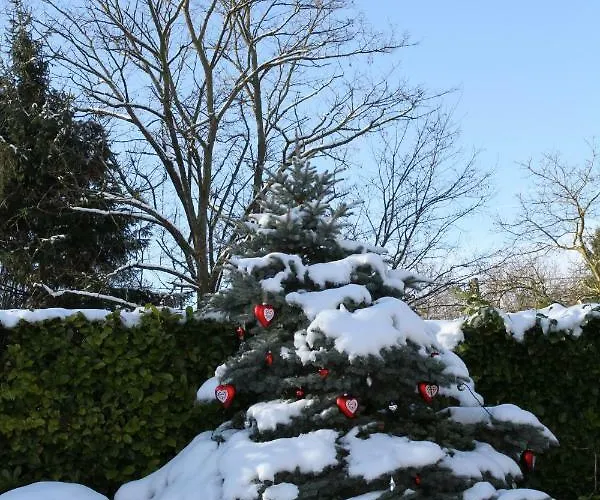 Pensjonat La Rose Tremiere Wintzenheim-Kochersberg